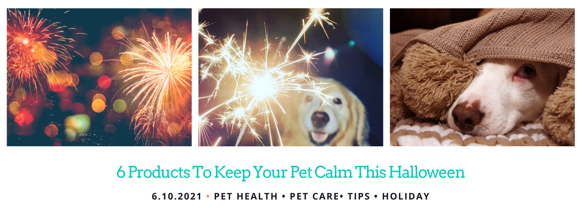 natural products to keep your pet calm at halloween