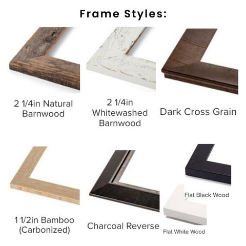 frame styles