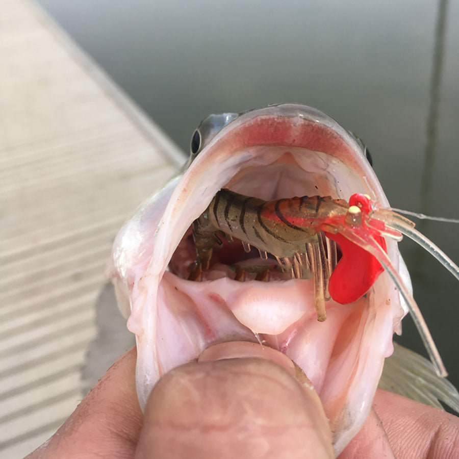6pc Shrimp Fishing Lure with Hooks - Lamby Fishing