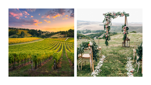 Vineyard, Nappa Valley, Destination Wedding, Huntervalley