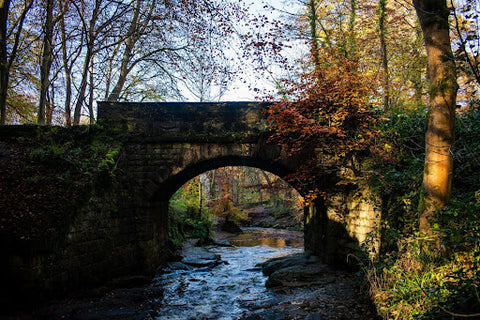 Bridge at Falling Foss Waterfall in the North York Moors walking route