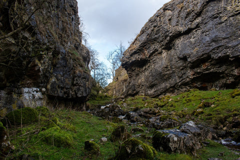 A grassy landscape leading up to a gorge