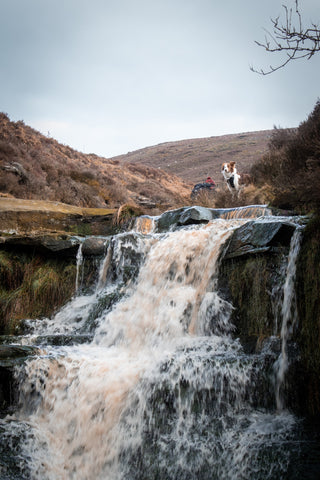 Arnfield Brook waterfall trail in the Peak District