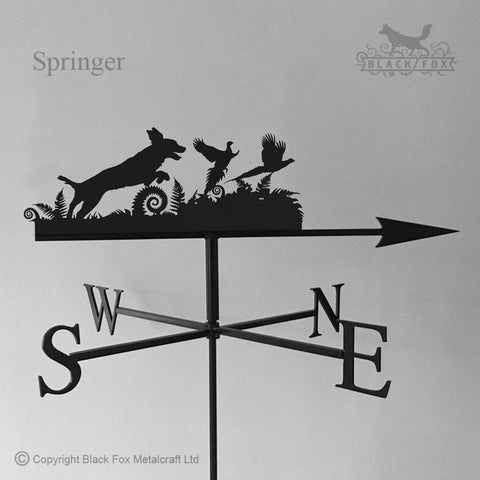 Springer spaniel flushing pheasants