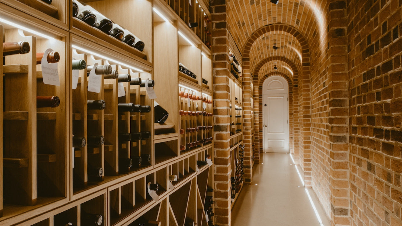 wine cellar with rows of wine bottles