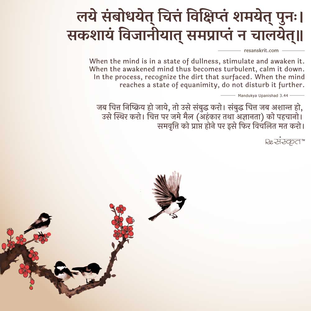 Sanskrit Quote on the Handling States of Mind!