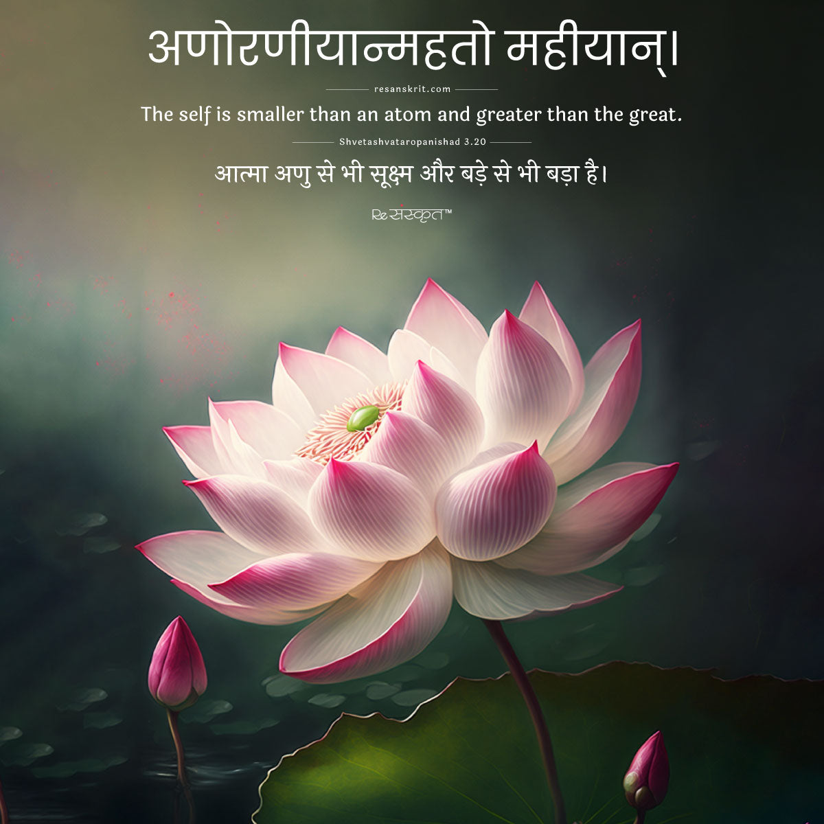 Sanskrit quote on soul