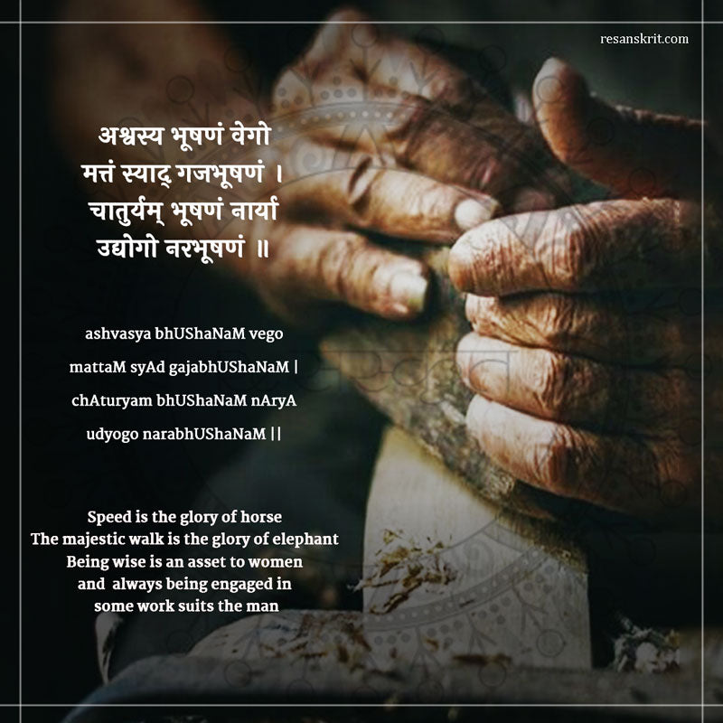 Sanskrit quote on pride