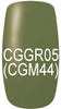 CGGR05