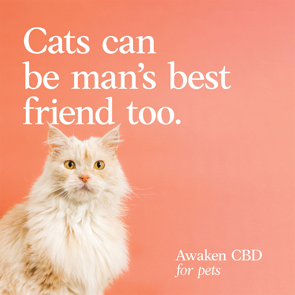 Pet-CBD-Campaign-Social-Posts.jpg__PID:e6b9cb55-857b-49b1-b9de-9760686cdb67