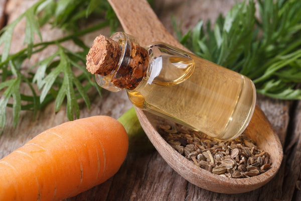 Carrot Seed Oil Virgin Cold Pressed