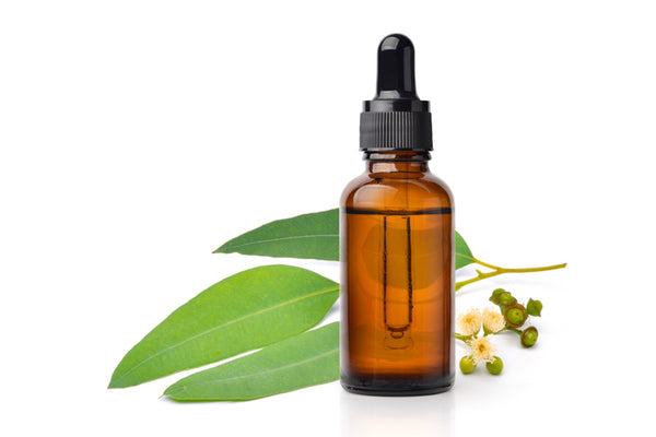 Essential Oils for Psoriasis