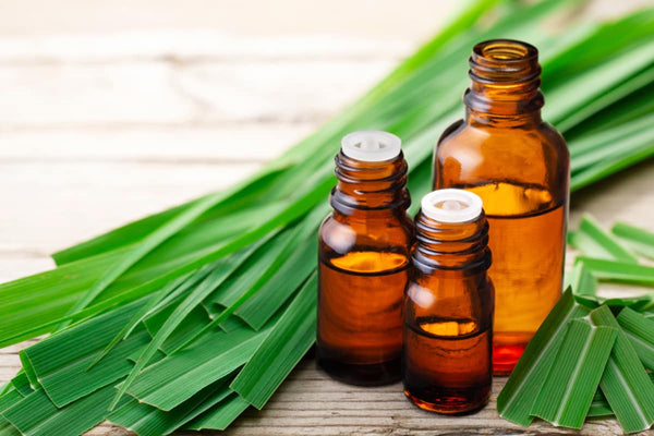 8 Lemongrass Essential Oil Benefits: Fight Inflammation, Microbes & More!