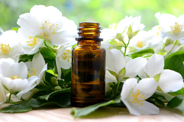 6 Jasmine Essential Oil Benefits for Hair & Skin – VedaOils USA