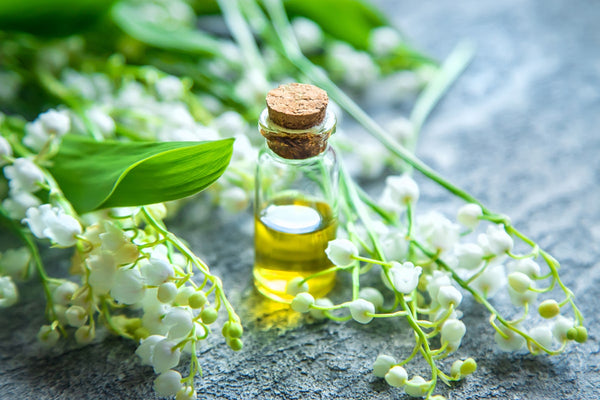 Lily of the Valley Essential Oil 