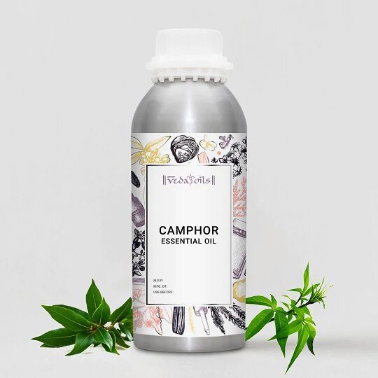 camphor essential oil