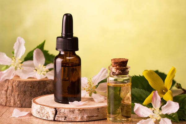 8 Best Earthy Essential Oils - List of Earthy Scented Oils – VedaOils
