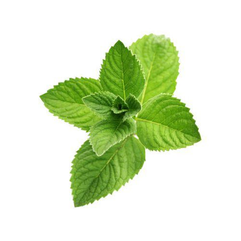 Peppermint