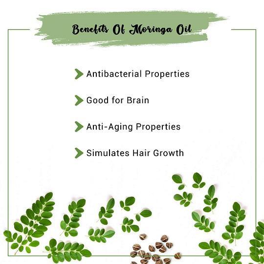 4 benefits of MORINGA OIL moringabenefits moringa moringaoilbenefits  moringaoil moringaoilben  Moringa benefits Moringa benefits hair  Natural oils for skin