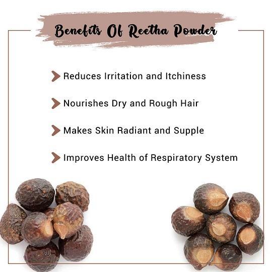 The Forest Herbs Natural Care From Nature Whole Dried Reetha Soap Nuts  Aritha Raw Form 500g  Amazonin Health  Personal Care