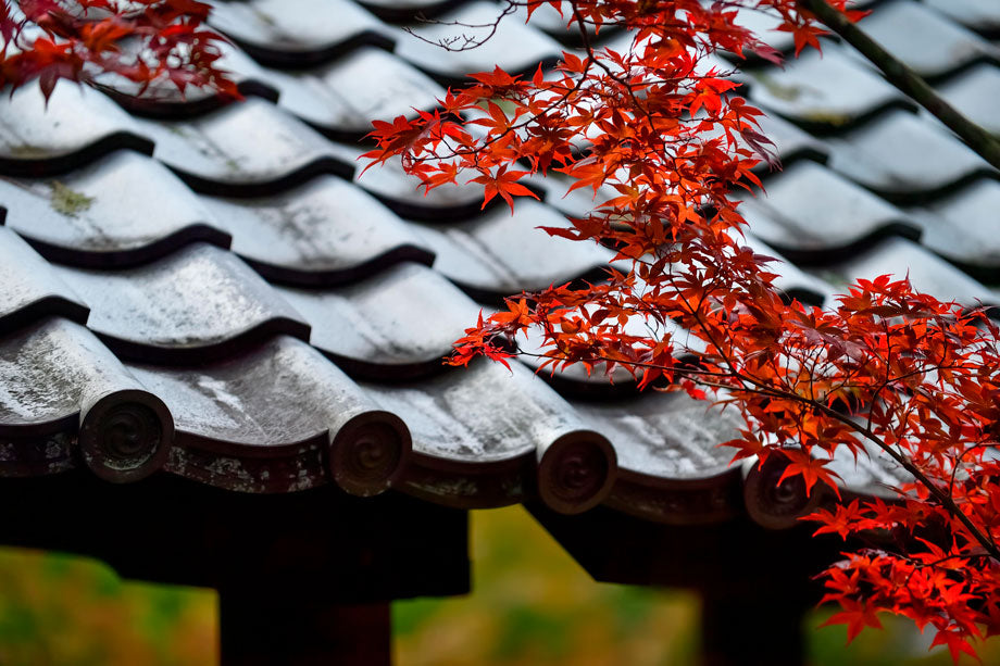 Traditional Japanese roof tiles can be salvaged and repurposed to line the edges of gravel or sand features in a backyard zen garden.