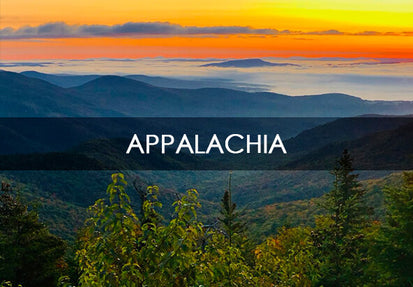 Plant-trees-in-appalachia