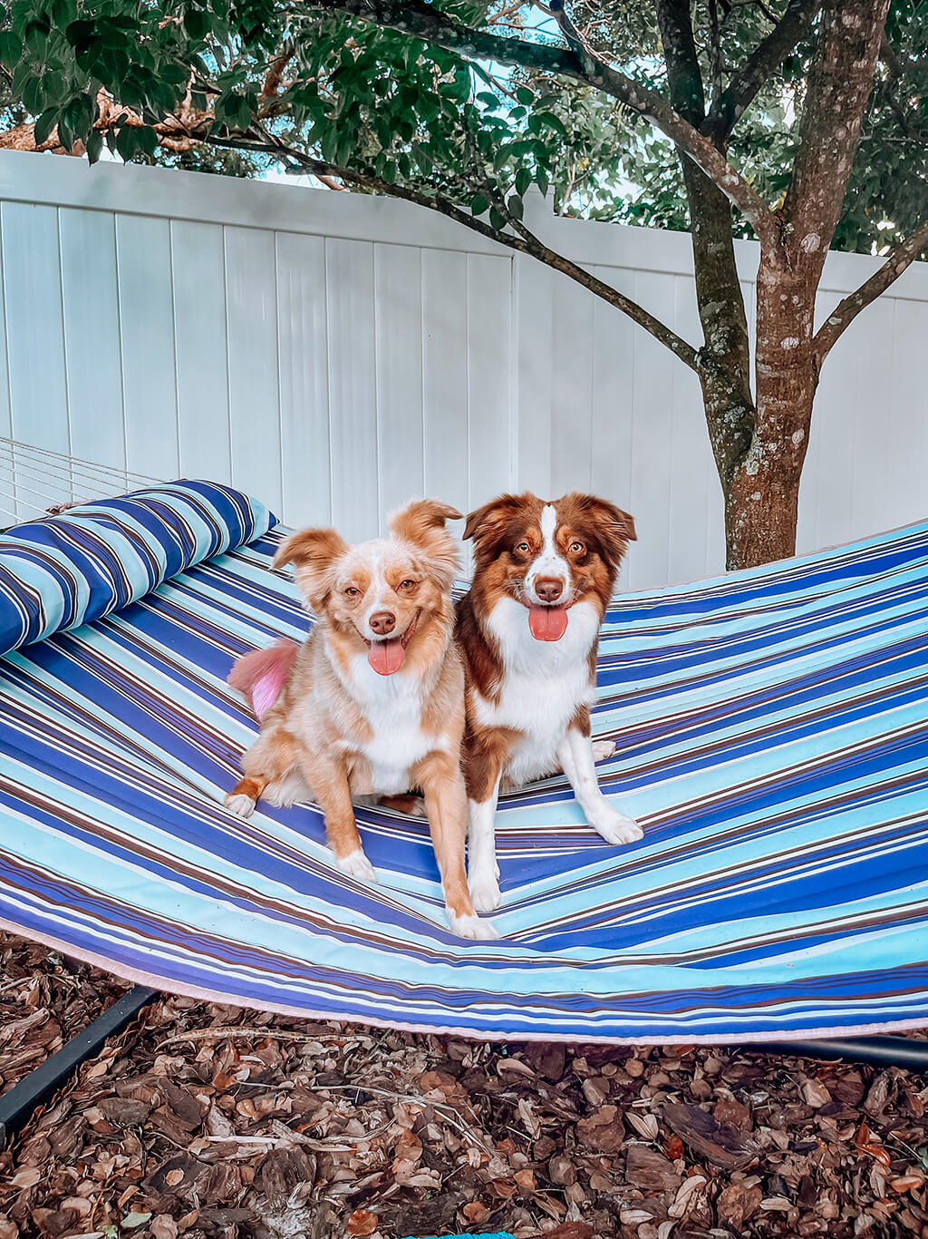 Large-Double-Quilted-Fabric-Hammock-with-Stand