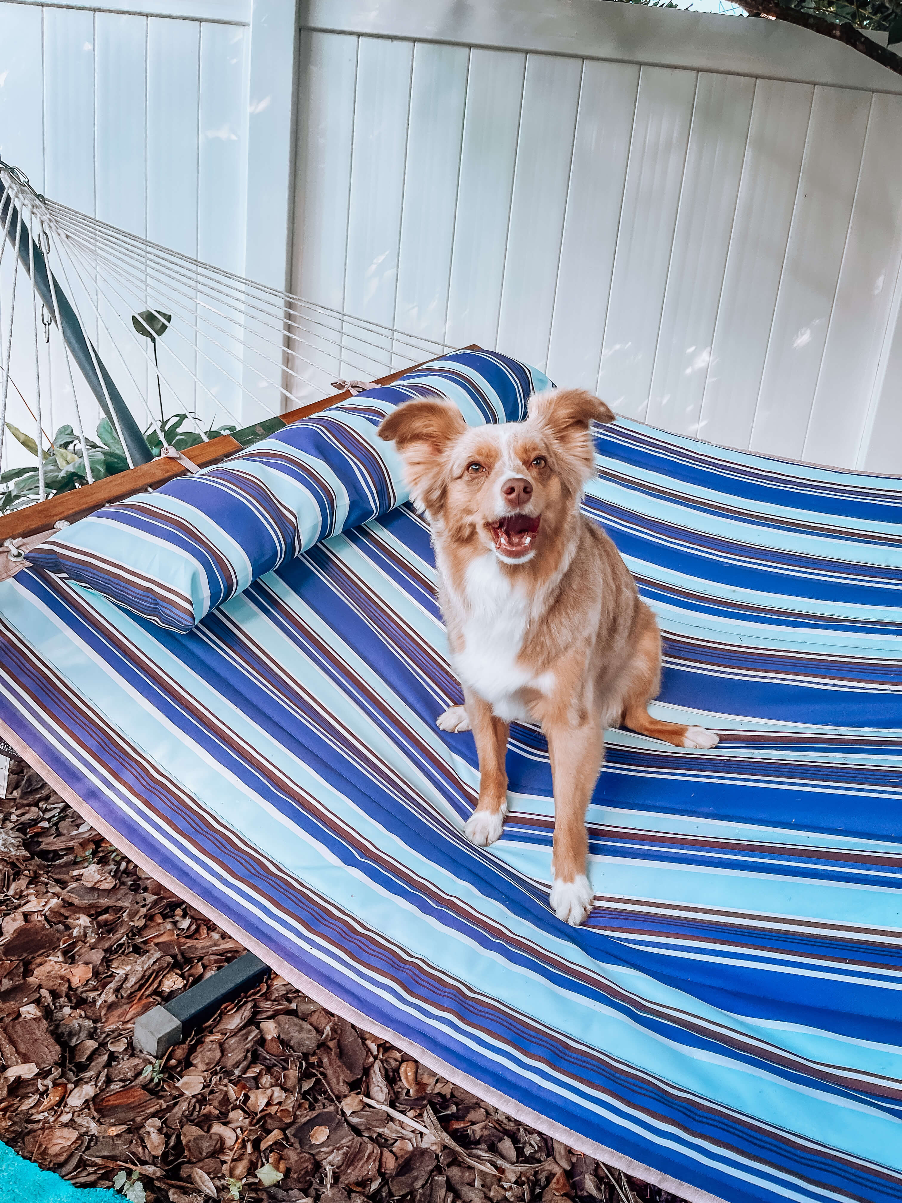 Large Double Quilted Fabric Hammock with Stand