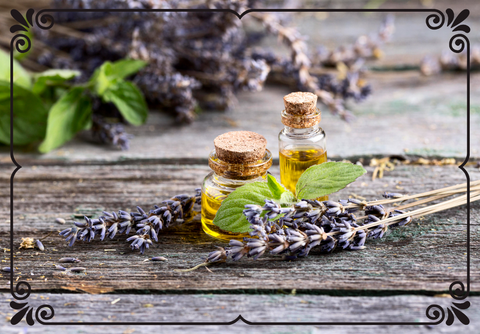 Essential oils for aromatherapy