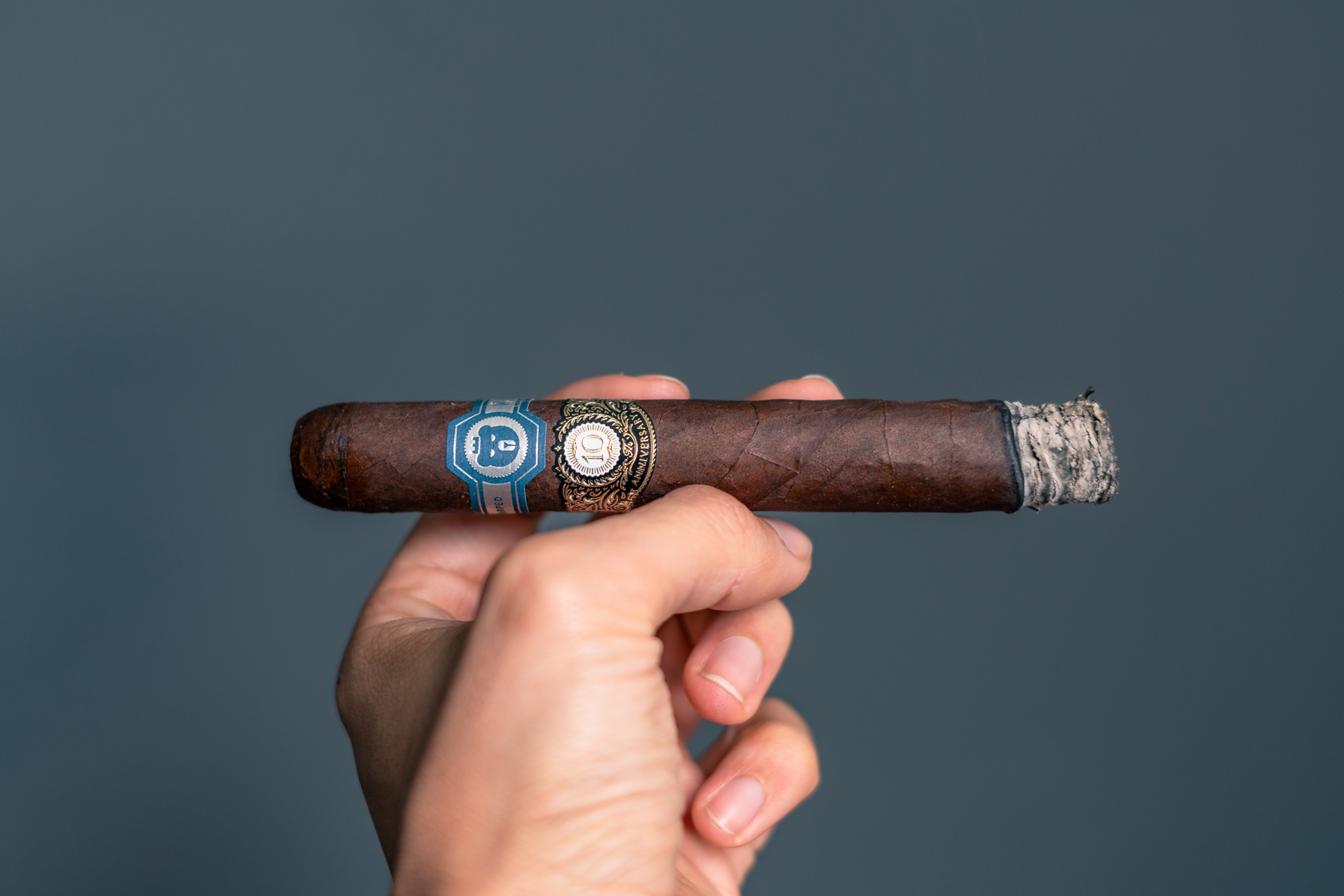 Warped El Oso 10 Year Anniversary Review