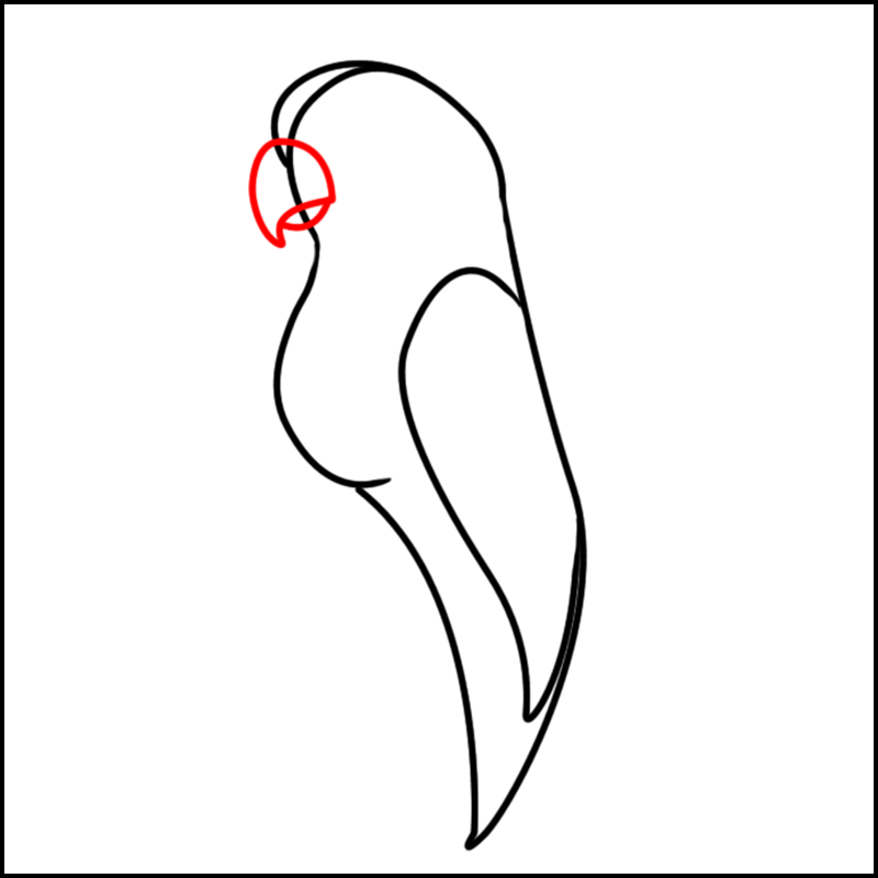 Comment faire un perroquet en dessin