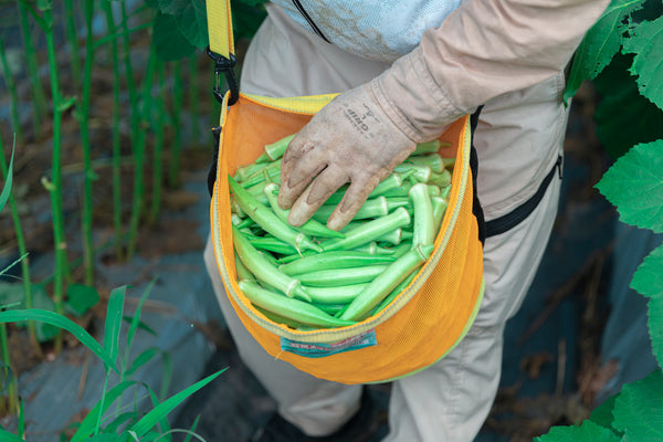 野菜は不幸だ