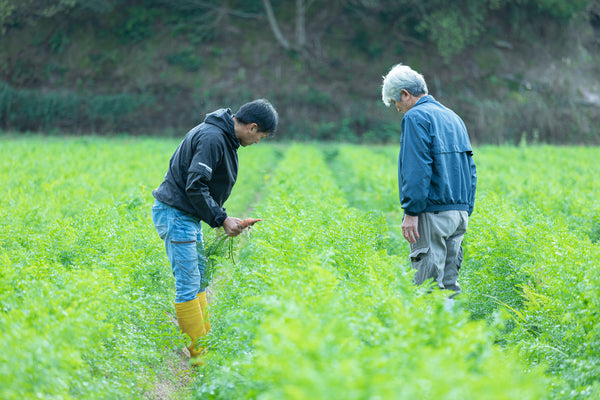 京都北部の有機野菜を育てている畑
