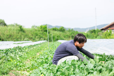 谷口隆介