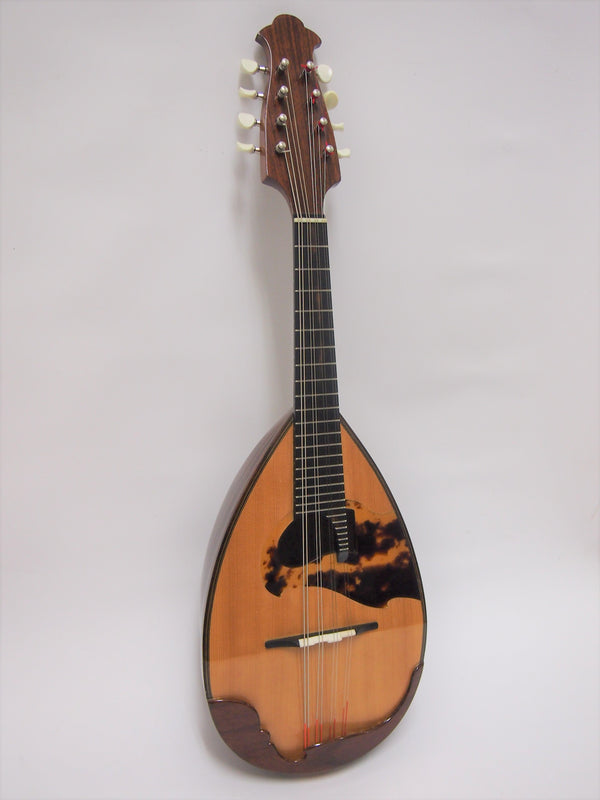 イタリア製 マンドリン - 弦楽器