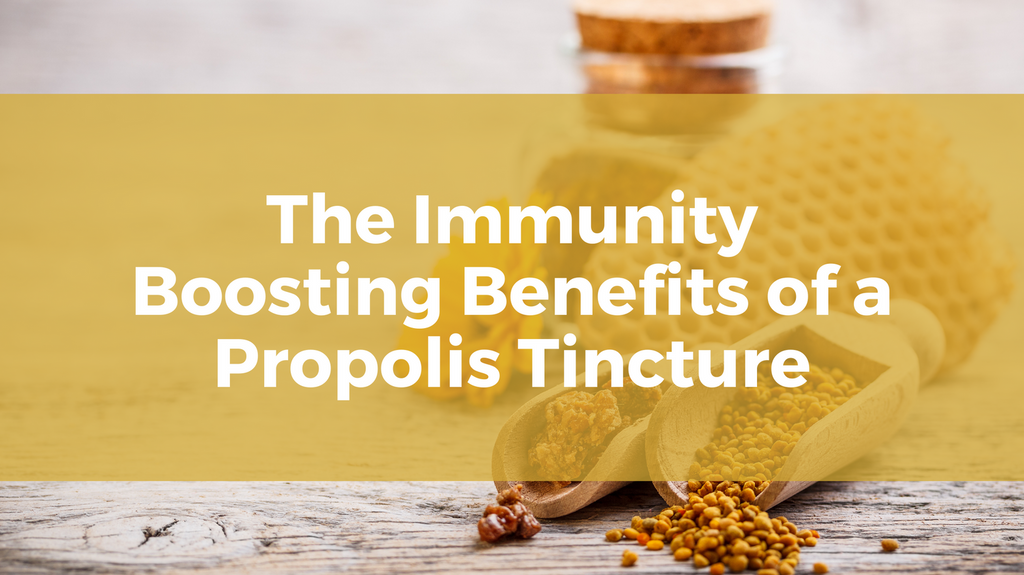 Benefits of a Propolis Tincture