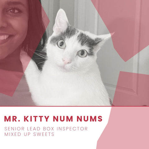 Picture of Mr. Kitty Num Nums, Mixed Up Sweets Senior Lead Box Inspector.