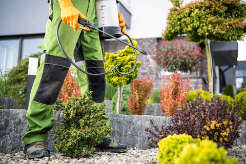 Garden plants pest-control treatment