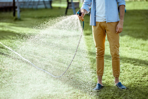 Man watering green lawn