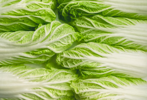 Chinese cabbage, close up