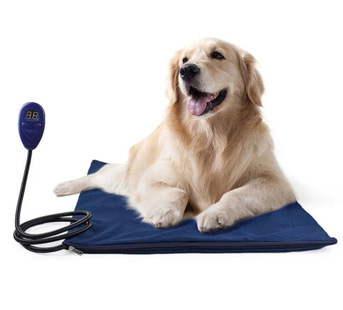 Comfy Heated Beds For Pets, Pet Accessories