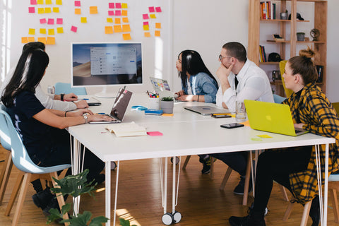 Startup or SMB discussing marketing plans in an office