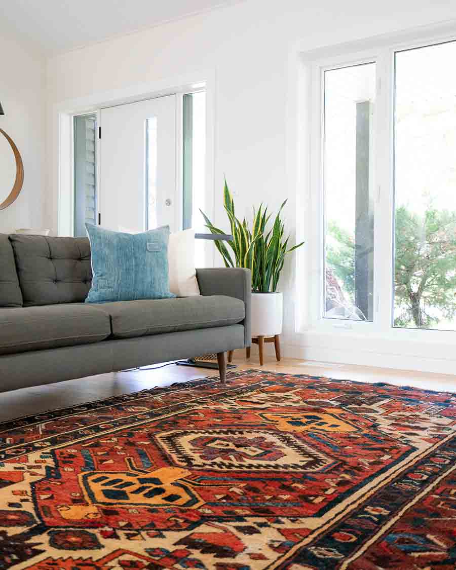 living room with couch, potted plant, and vintage rug