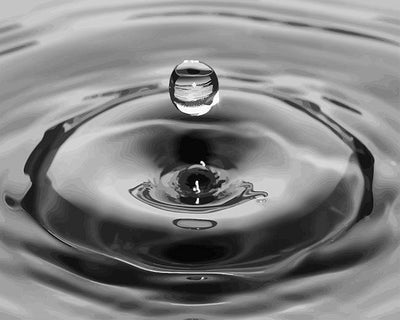 Black and White Water Drop - paintbynumbersonline