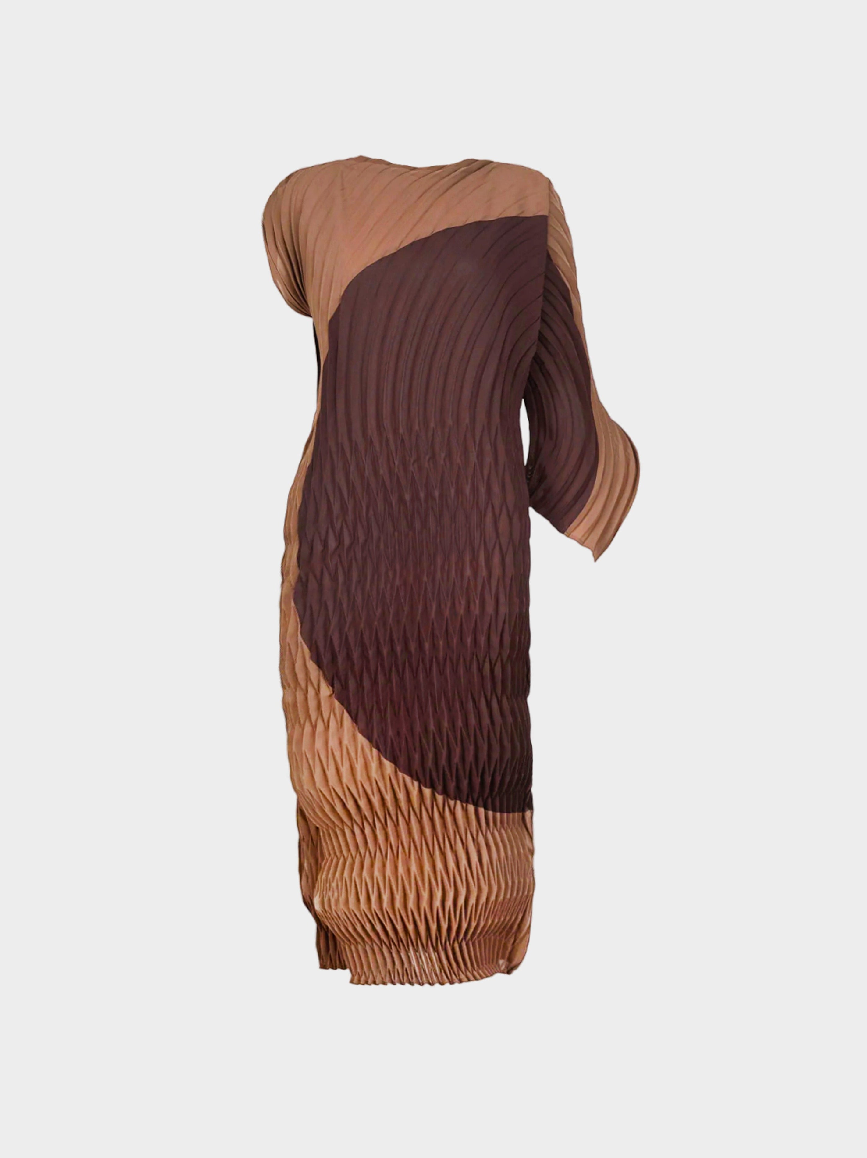 Issey Miyake FW 2022 Brown Fronds Dress