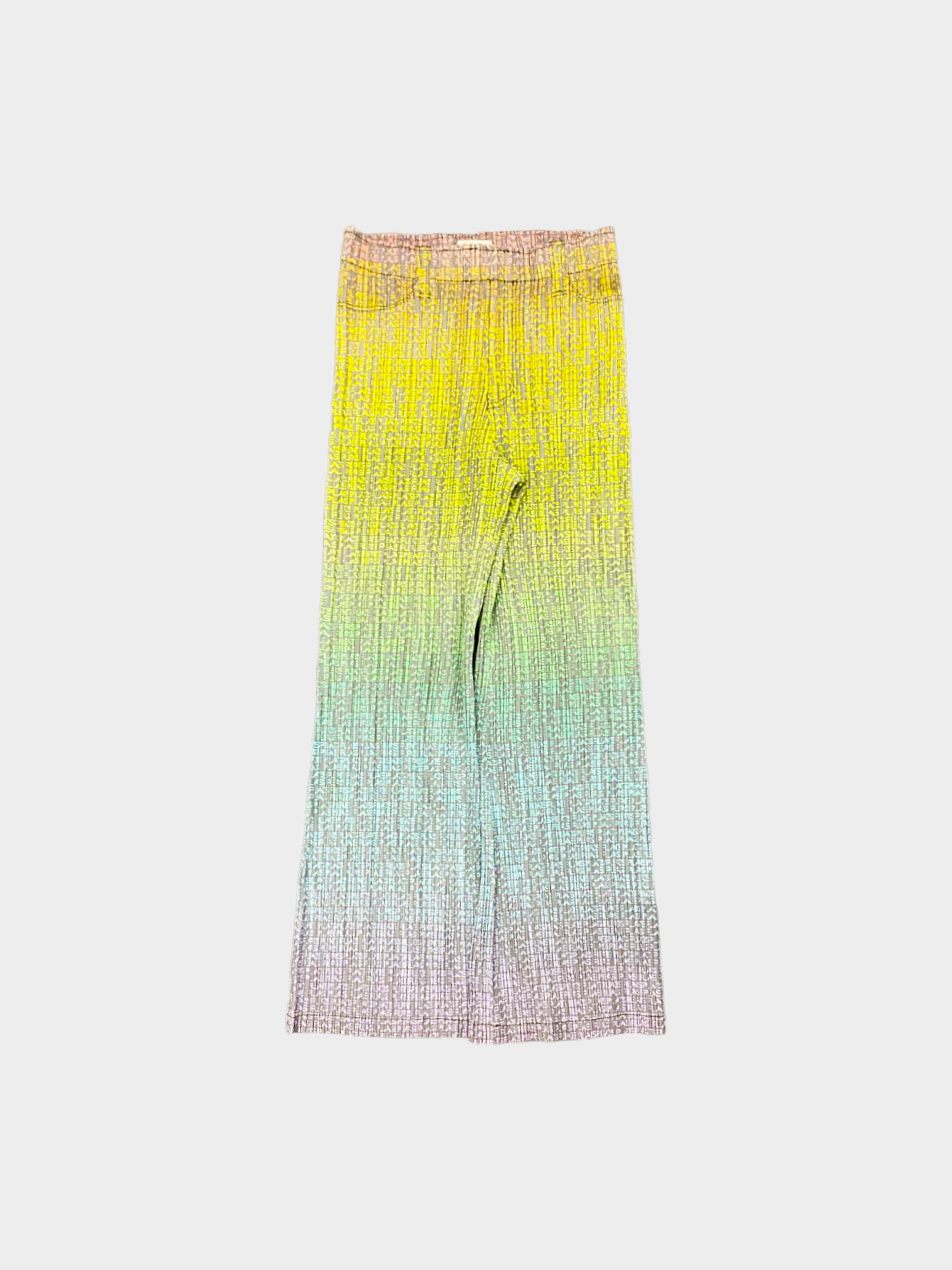 Issey Miyake 2006 Rare Pleats Please Gradient All-over Logo Print Wide Pants