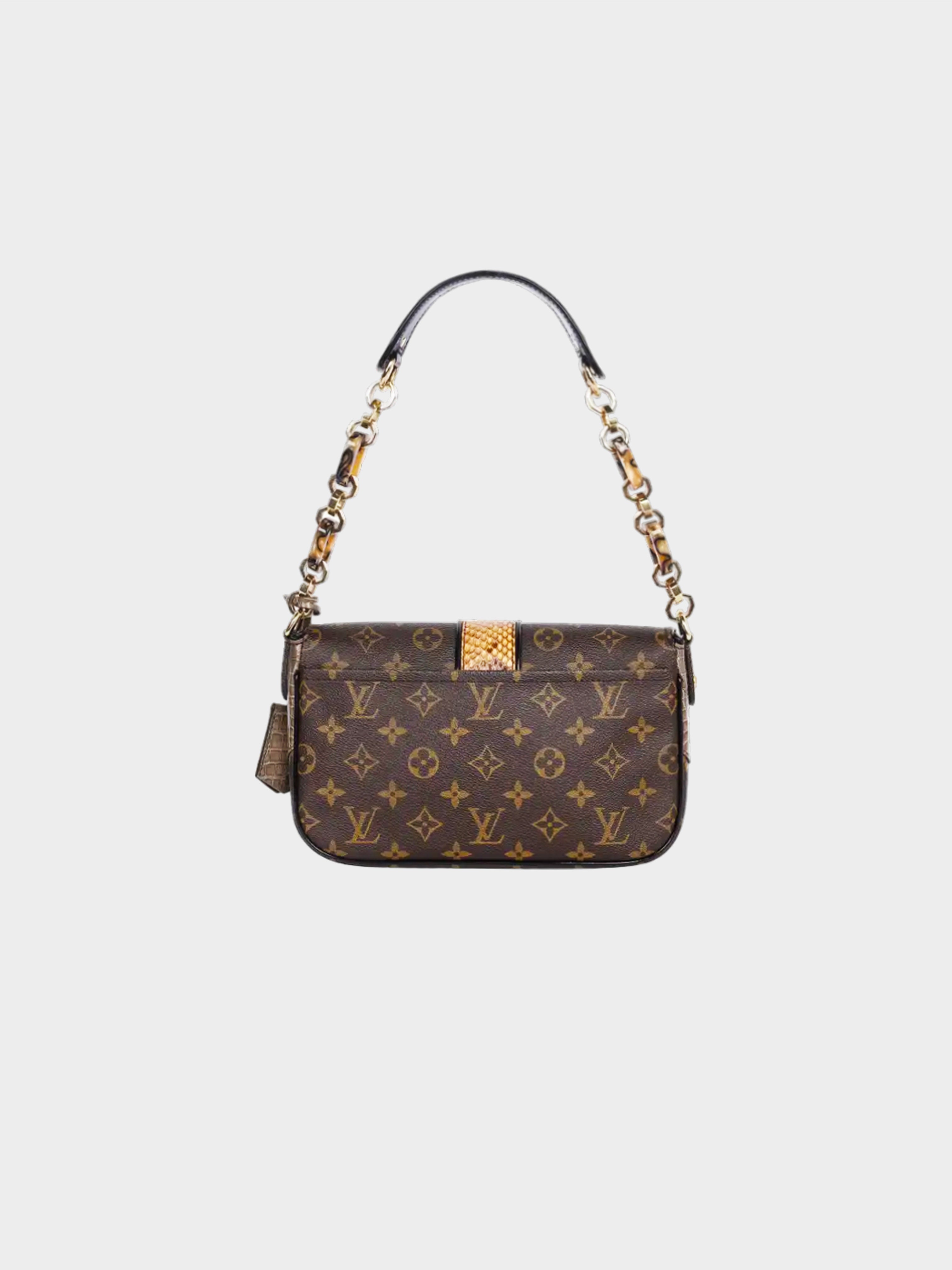 Louis Vuitton 2009 Monogramissime Pochette