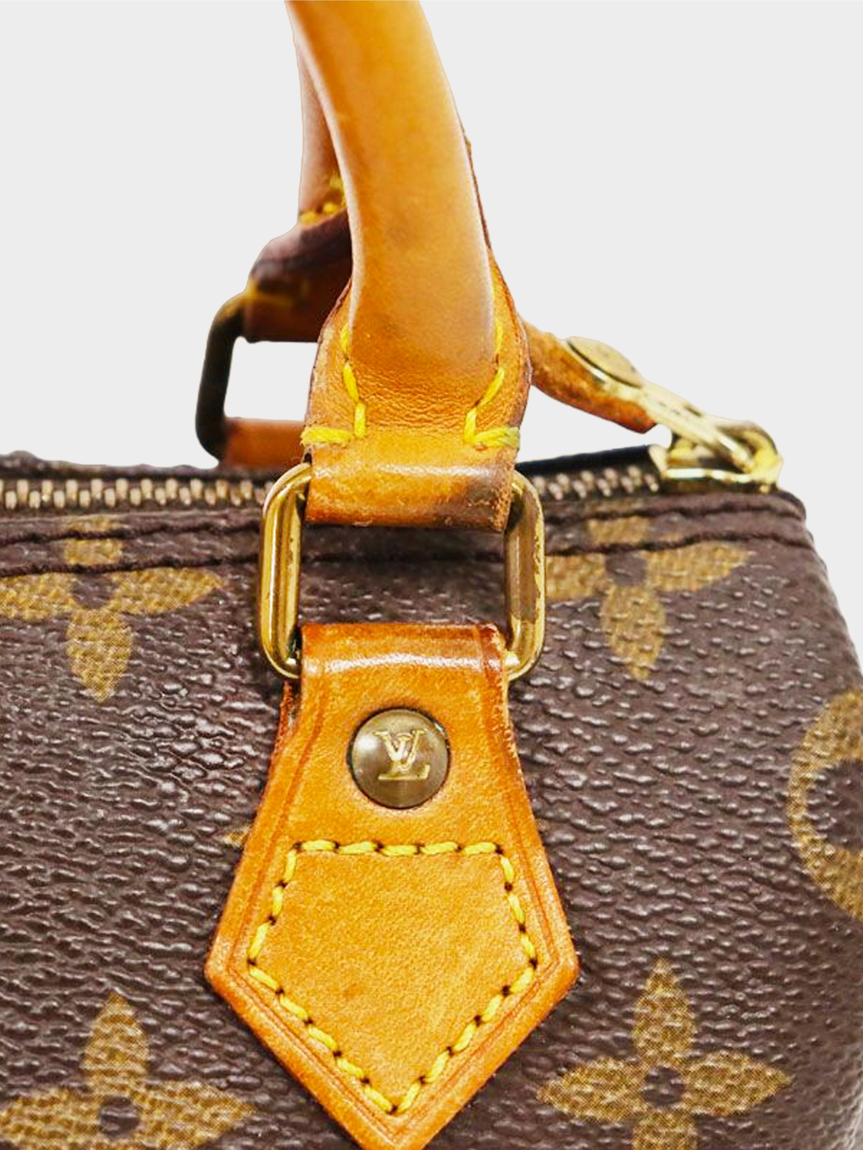 LOUIS VUITTON Monogram Mini Speedy Handbag