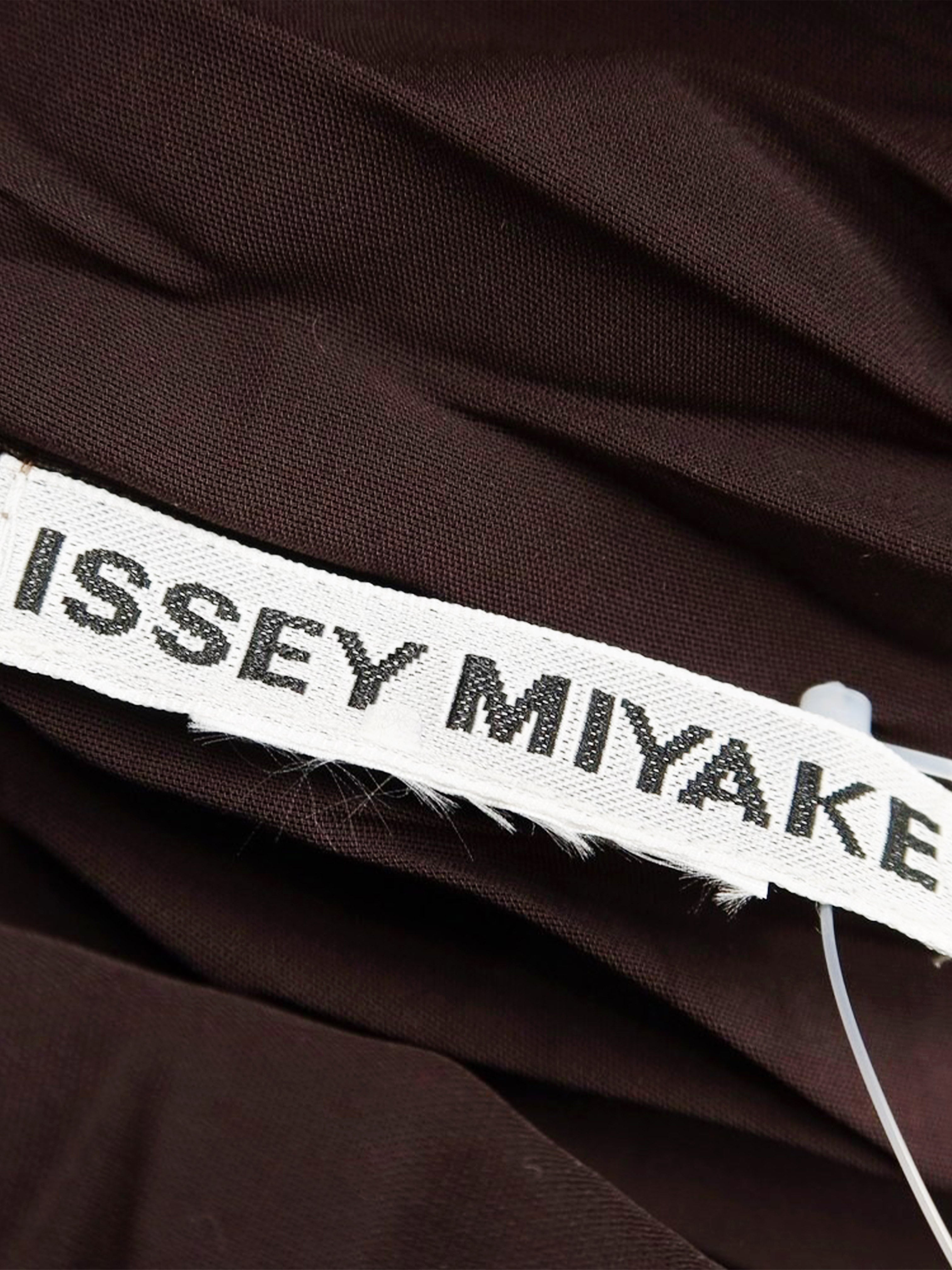Issey Miyake FW 2022 Brown Fronds Dress