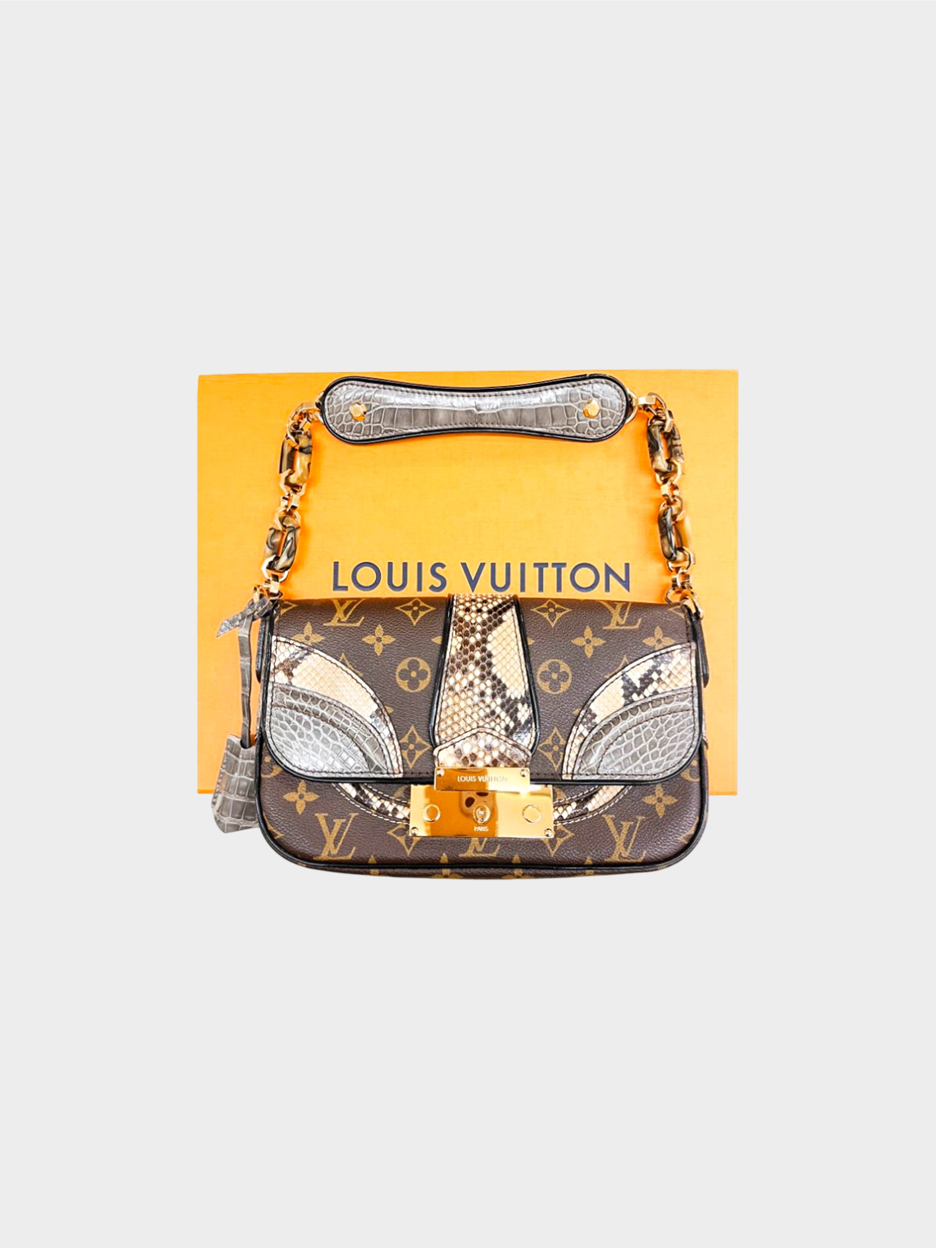 Louis Vuitton 2009 Monogramissime Pochette